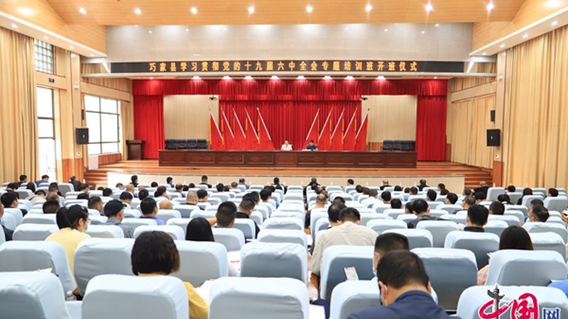 自考本科与成考本科：含金量对比解析