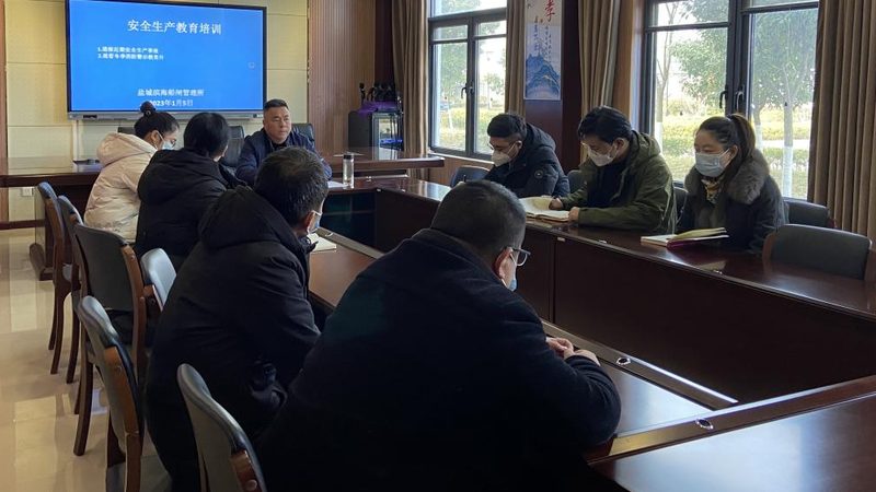 网络课程与录播课：本质区别与选择要点